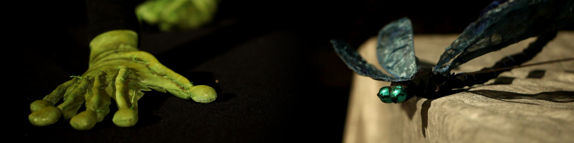 Mise en scène du spectacle Le Bal des Grenouilles.